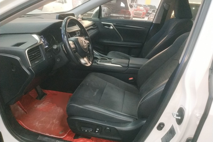 雷克萨斯RX 2020款 300 两驱精英版 国VI局部细节19