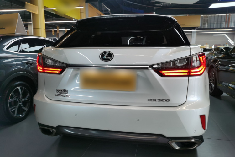 雷克萨斯RX 2016款 300 两驱精英版 国V车身外观6