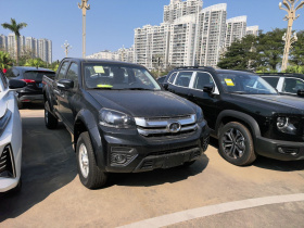 长城 风骏5 2023款 2.0T 柴油两驱精英型平槽车箱