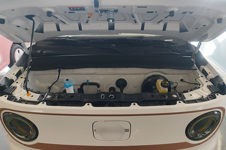 吉利银河 2024款 熊猫mini 200km 耐力熊局部细节24