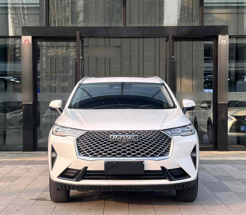 哈弗H6 2022款 第三代 1.5T 自动两驱Max(2)