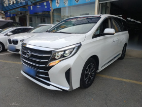 广汽传祺 传祺M8 2023款 领秀系列 390T 豪华版