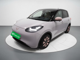 五菱汽车 五菱缤果 2023款 203km 舒享款