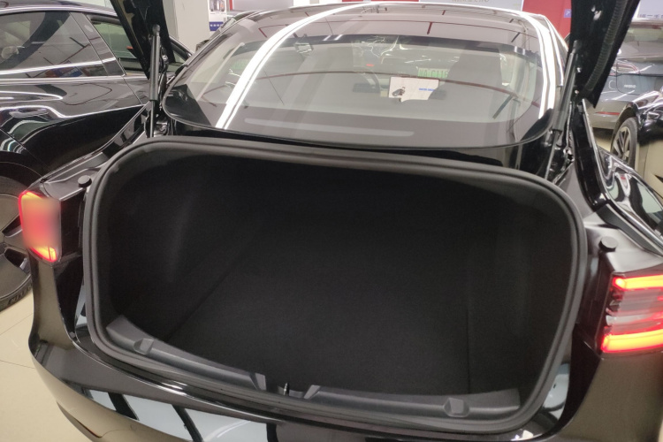 特斯拉 Model 3(进口) 2019款 长续航全轮驱动版机舱底盘23