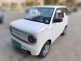 吉利银河 2024款 熊猫mini 200km 耐力熊