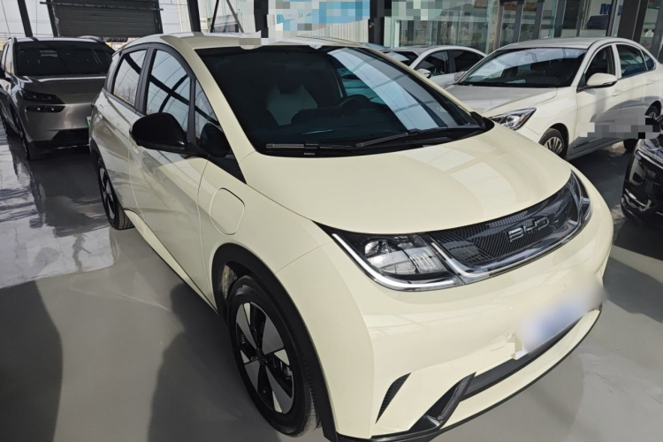 比亚迪 海豚 2023款 420km 自由版车身外观6002