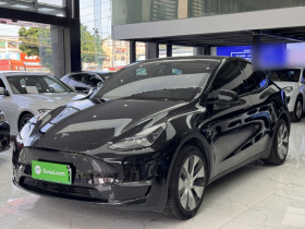 特斯拉 Model Y 2023款 长续航全轮驱动版