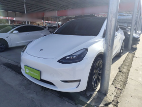 特斯拉 Model Y 2023款 长续航全轮驱动版