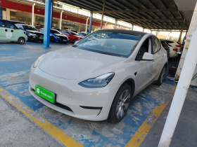 特斯拉 Model Y 2021款 标准续航后驱版