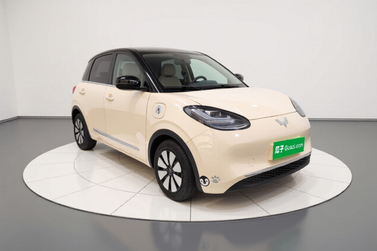 五菱汽车 五菱缤果 2025款 333km 悦享款车身外观3