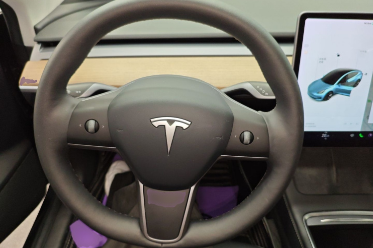 特斯拉 Model 3 2021款 标准续航后驱升级版局部细节13