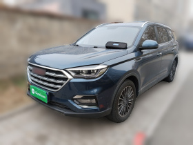 中国重汽VGV VGV U70 2020款 1.5T 自动智享豪华版 7座