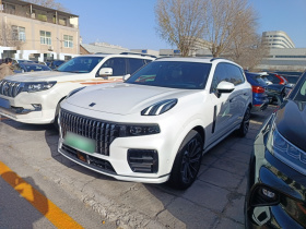 领克09 EM-P 2023款 2.0TD EM-P 远航版PM 七座