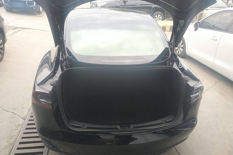 特斯拉 Model 3(进口) 2019款 长续航全轮驱动版局部细节23