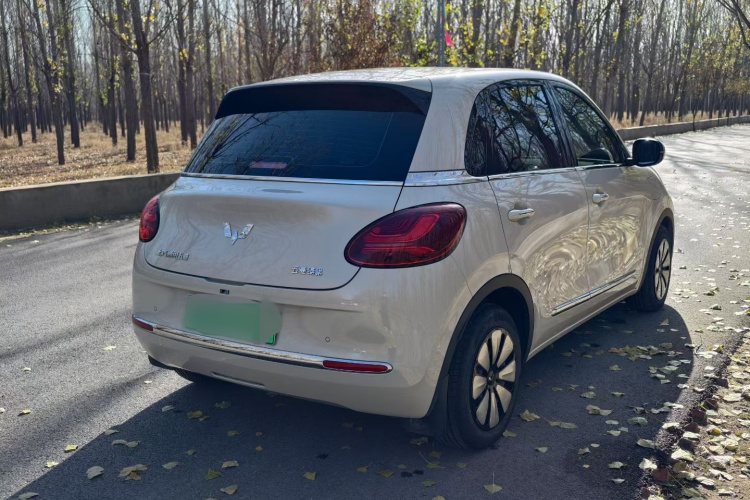 五菱汽车 五菱缤果 2024款 333km 悦享款车身外观6006