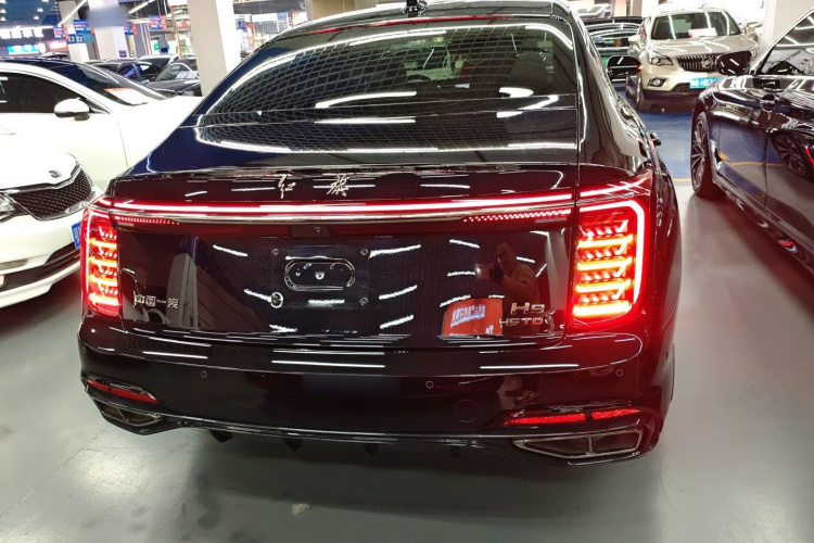 红旗H9 2024款 2.0T 旗畅 私享风尚版车身外观6