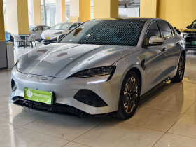 比亚迪 海豹 2023款 冠军版 550km 精英型