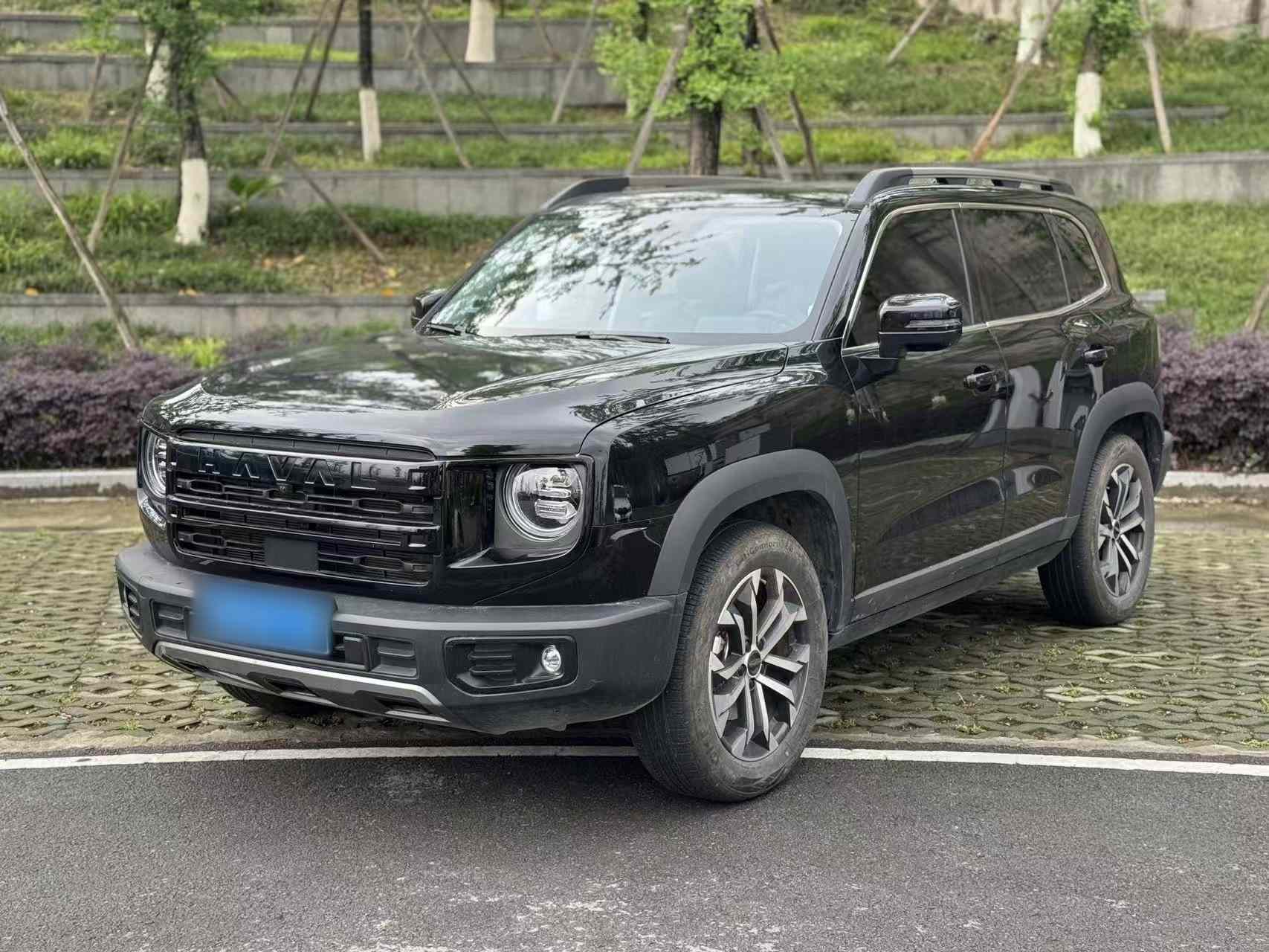 哈弗大狗 2024款 1.5T DCT边牧版(2)