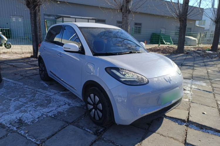 五菱汽车 五菱缤果 2023款 410km 灵犀尊享款车身外观3