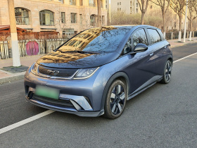 比亚迪 海豚 2023款 401km 骑士版