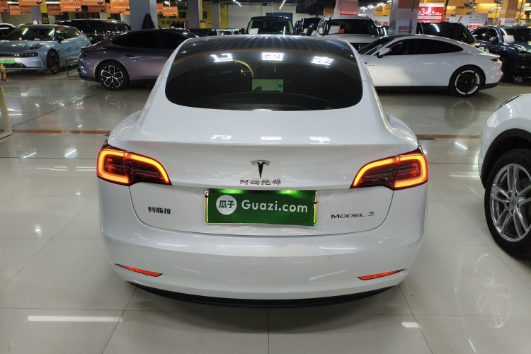 特斯拉 Model 3 2021款 标准续航后驱升级版 3D6车身外观6
