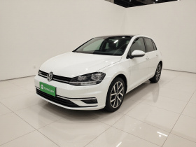 大众 高尔夫 2019款 280TSI DSG豪华型 国V