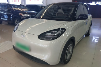 五菱汽车 五菱缤果 2024款 333km 悦享款