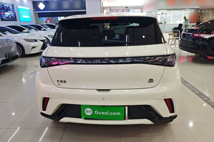 比亚迪 海豚 2023款 420km 时尚版车身外观6004