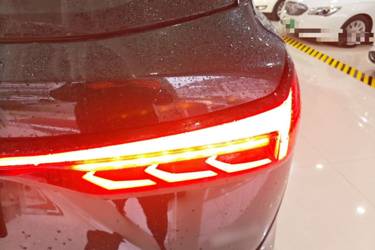 蓝电E5 PLUS 2025款 120km 标准旅行定制版 7座车身外观9