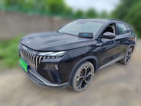 东风风神 皓极 2022款 马赫动力 1.5T 敢行版·智