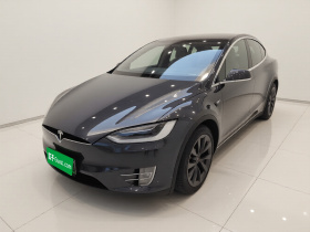 特斯拉 Model X 2019款 长续航版