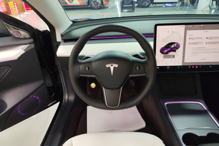 特斯拉 Model 3 2022款 后轮驱动版局部细节13