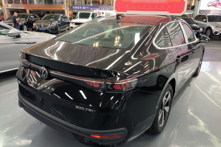 大众 迈腾 2024款 300TSI DSG尊享版车身外观6005