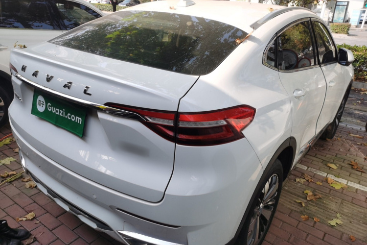 哈弗F7x 2019款 1.5T 两驱极智潮玩版车身外观7