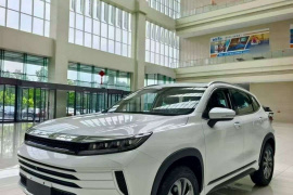 星途追风 2024款 1.5T CVT好事花生版