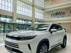 星途追风 2024款 1.5T CVT好事花生版