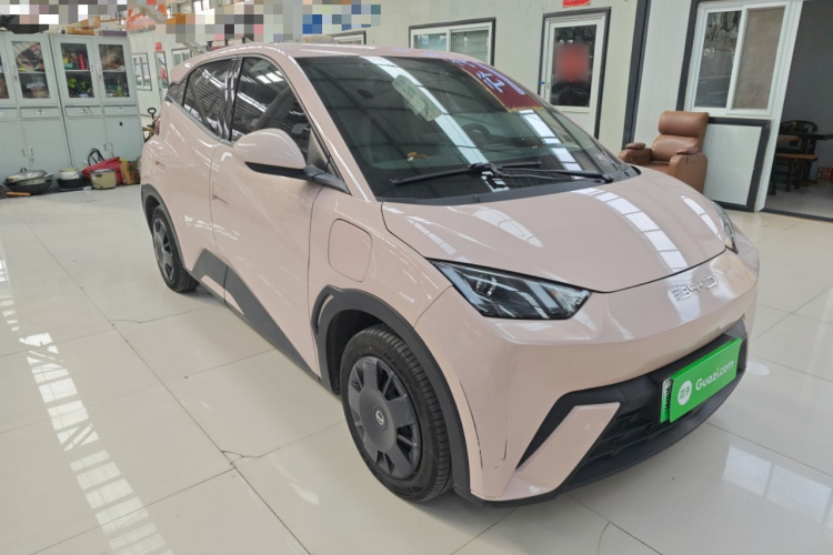 比亚迪 海鸥 2023款 活力版车身外观6002