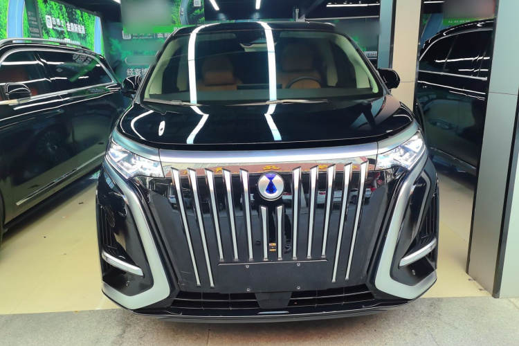 腾势D9 2024款 EV 620 尊享型车身外观6001