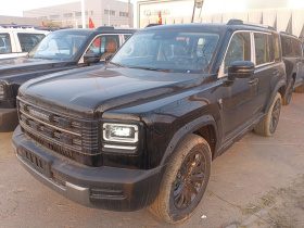 哈弗猛龙新能源 2026款 Hi4 105 Pro