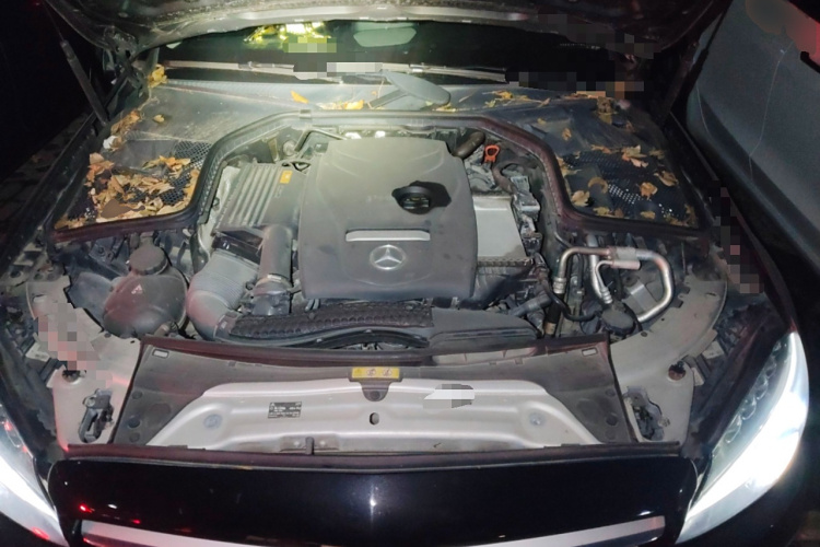 奔驰C级 2018款 C 180 L 时尚型运动版局部细节24