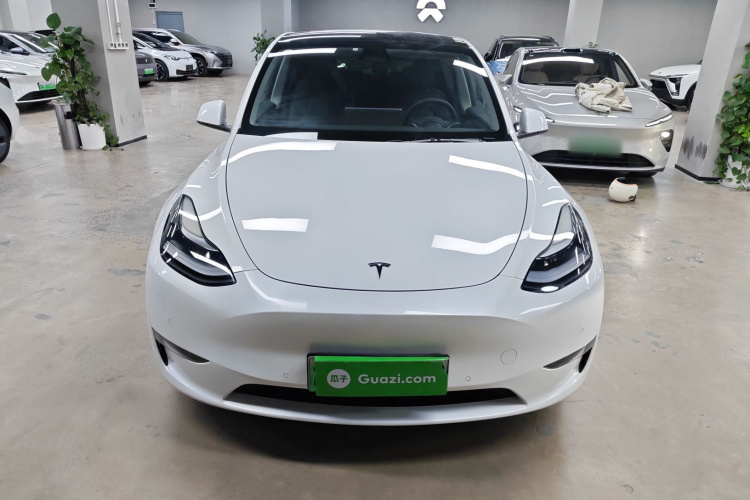 特斯拉 Model Y 2021款 Performance高性能全轮驱动版车身外观2