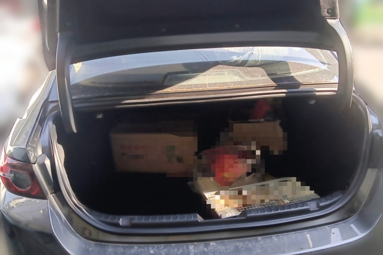 马自达3 昂克赛拉 2020款 1.5L 自动质悦天窗版中控内饰23