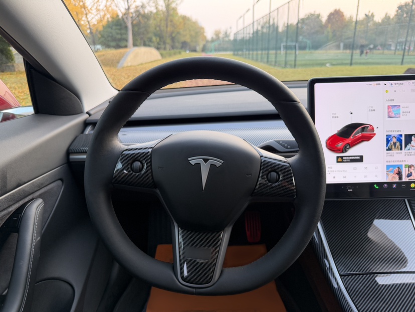 特斯拉 Model 3 2020款 改款 标准续航后驱升级版