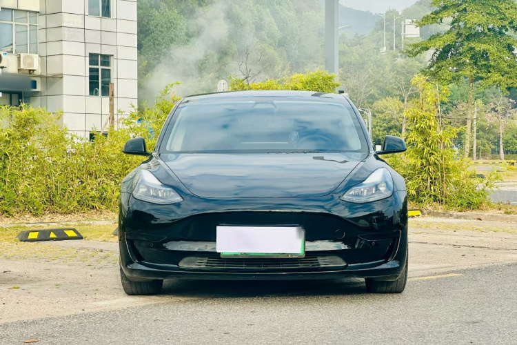 特斯拉 Model 3 2021款 标准续航后驱升级版 3D6车身外观6001