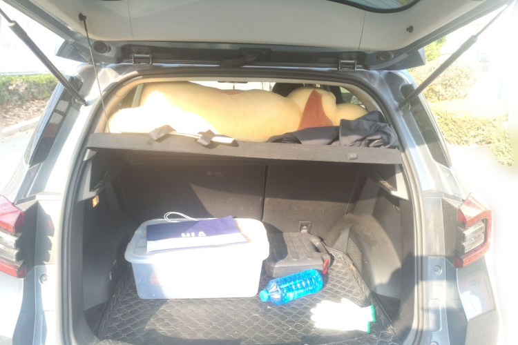 奇瑞 瑞虎5x 2019款 HERO 1.5L CVT时尚版局部细节23