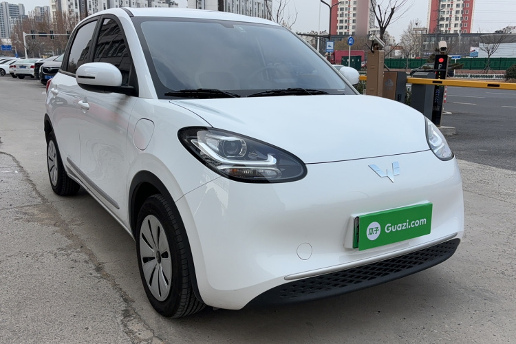 五菱汽车 五菱缤果 2024款 203km 轻享款车身外观6002