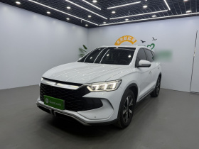 比亚迪 宋Pro新能源 2023款 冠军版 DM-i 110KM超越型