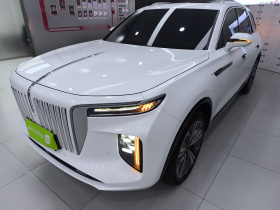 红旗E-HS9 2021款 460km 旗悦版 七座