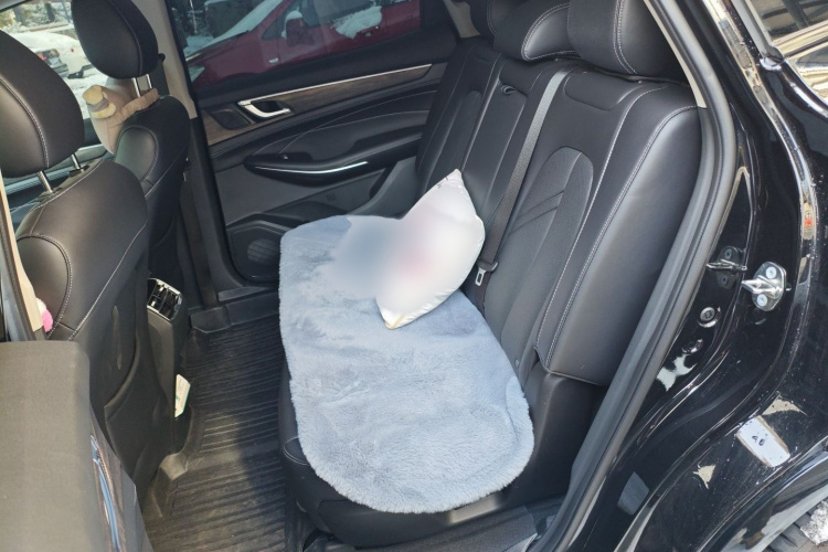 蓝电E5 2023款 1.5L DE-i 100KM畅享型 7座中控内饰7004