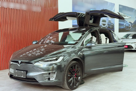 特斯拉 Model X 2019款 Performance 高性能版